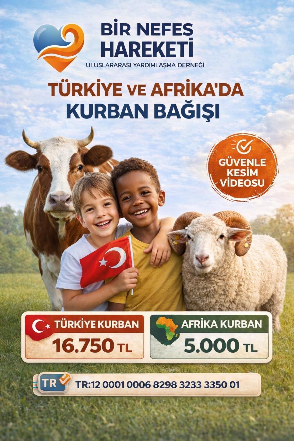 Türkiye ve Afrika kurban bağışı kampanyası